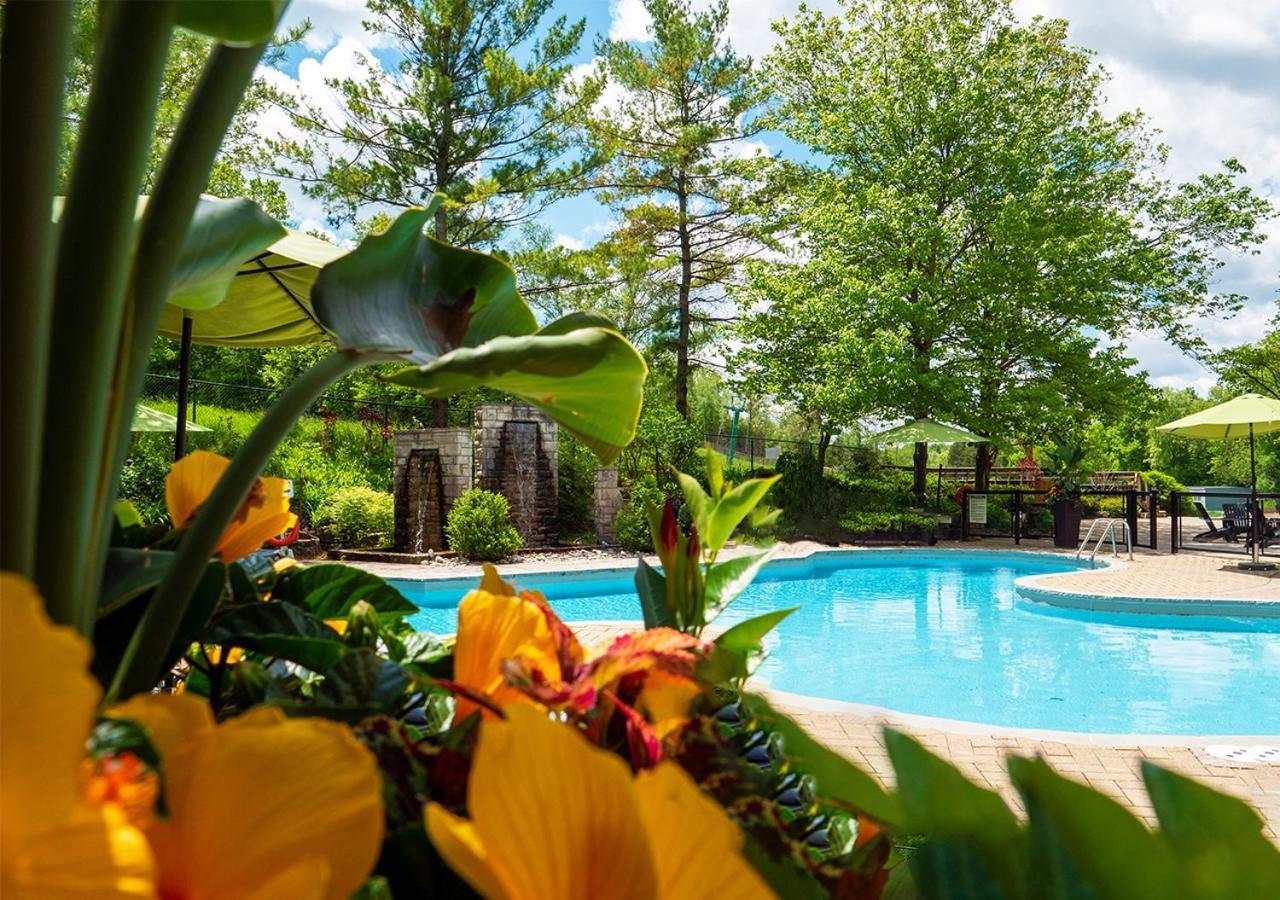 אורנג'וויל Hockley Valley Resort מראה חיצוני תמונה